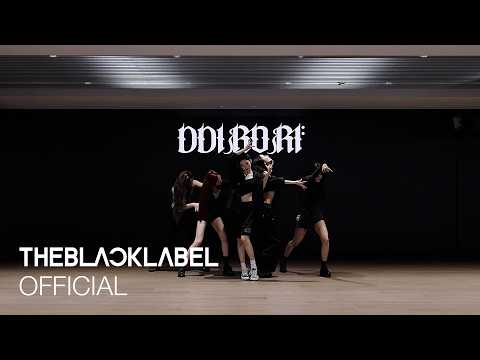 MEOVV(미야오) - ‘띠로리 (DDI RO RI)’ DANCE PRACTICE VIDEO