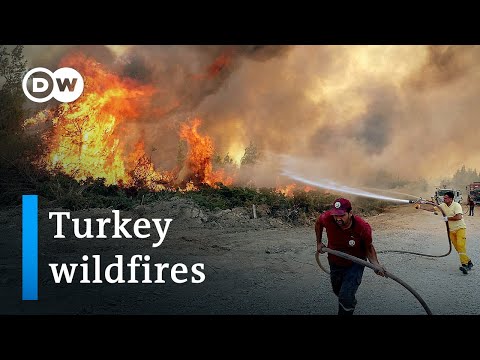 Turkey wildfires: Death toll rises with hundreds injured | DW News