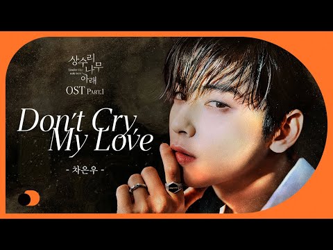 Lyric Video | 차은우(CHA EUNWOO) - Don't Cry, My Love(상수리나무 아래 OST Part.1)