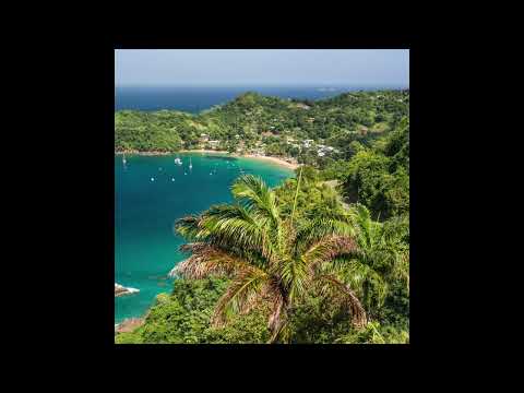 Geese - Trinidad (Official Audio)