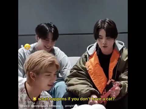 Jungkook explains what do you want to see my cat means in vlive eng sub