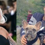 Both of Lady Gaga’s dogs have been turned in to a local police station