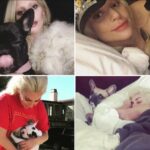 (VIDEO) Lady Gaga's Dog Walker was shot, Bulldogs Stolen, she offers $500,000 for recovering her pets