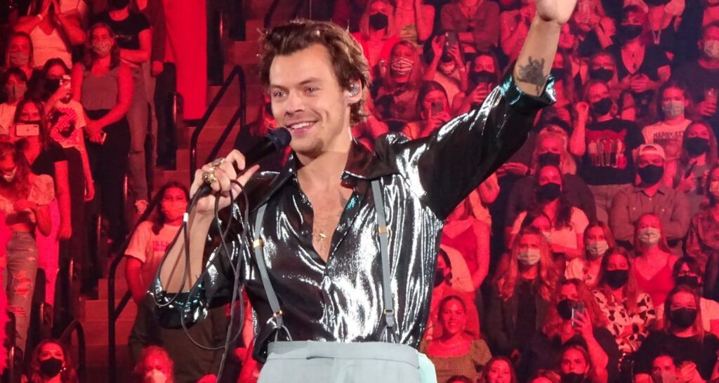 Harry Styles interrupts his show to give love advice to his fans
