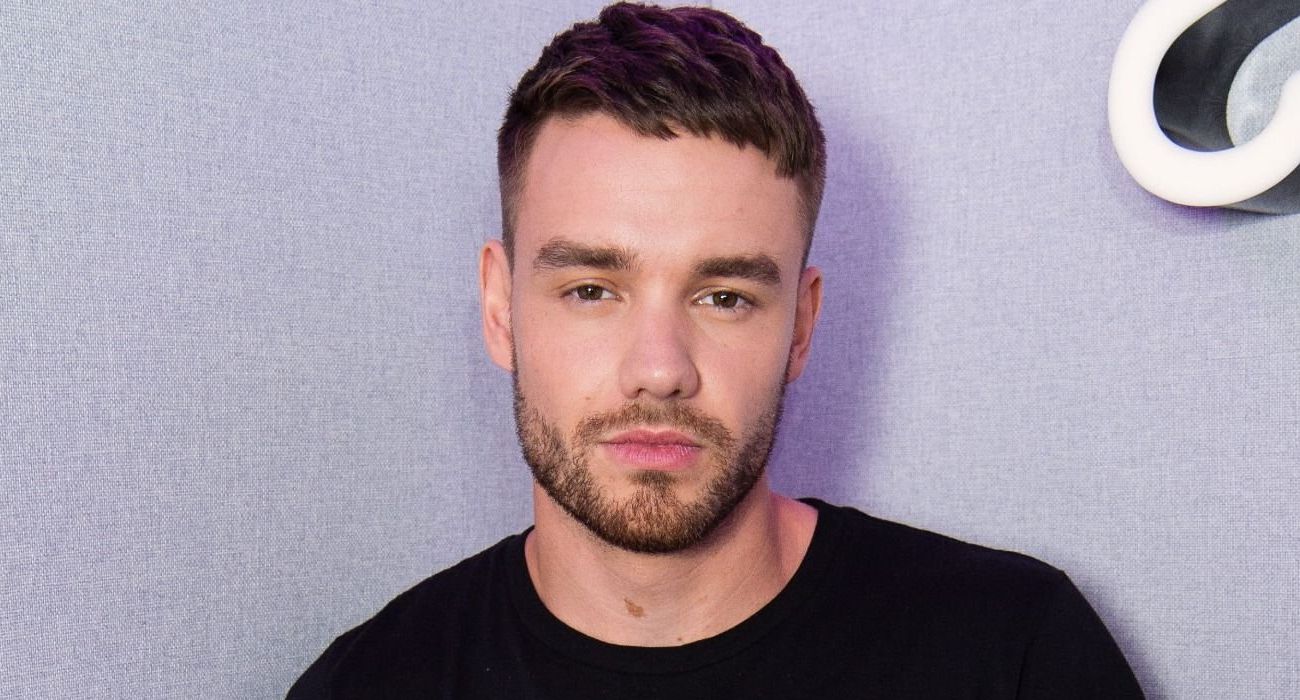 Liam Payne canalize his 1D trauma by doing TikToks