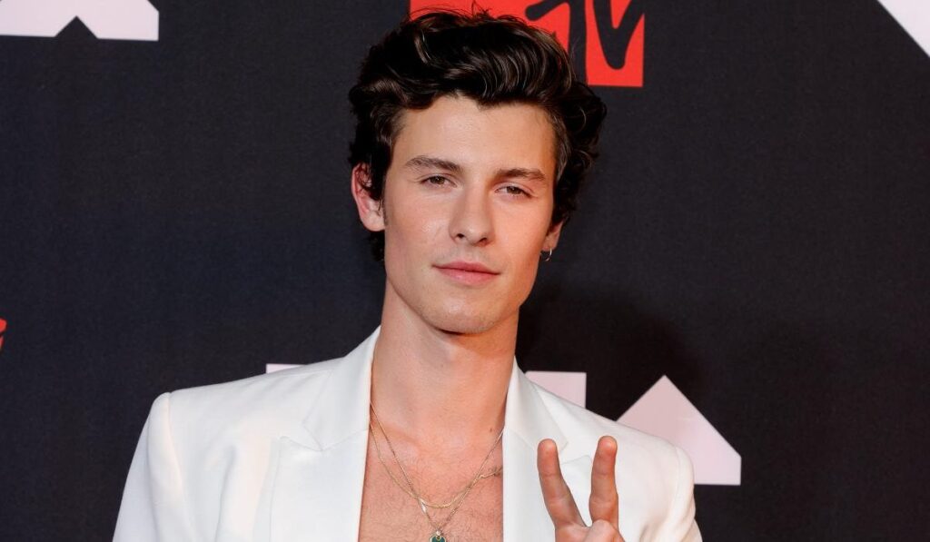 Shawn Mendes announces new song "It'll be okay"