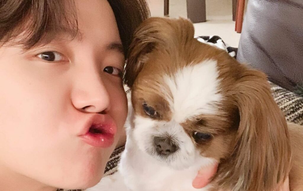 BTS: J-Hope cried after revealing what is happening to his dog