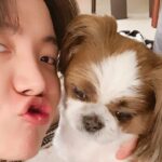 BTS: J-Hope cried after revealing what is happening to his dog