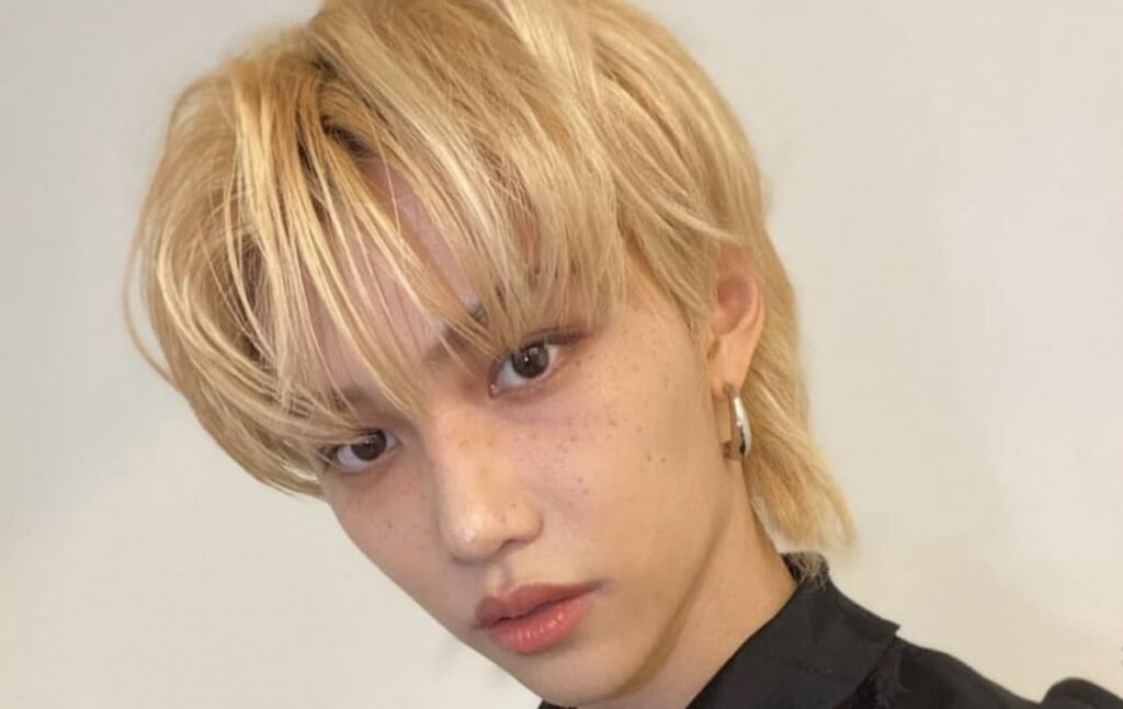 Did Stray Kids' Felix really come out as bisexual?