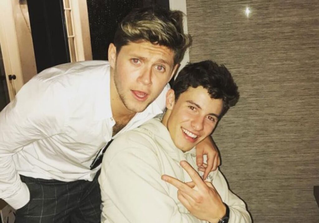 Niall Horan talks about possible collaboration with Shawn Mendes