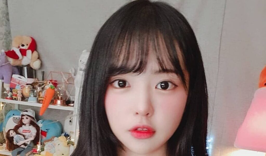 Streamer Jammi takes her life after misogynist Youtuber PPKKa (뻑가) "exposes" her for being feminist