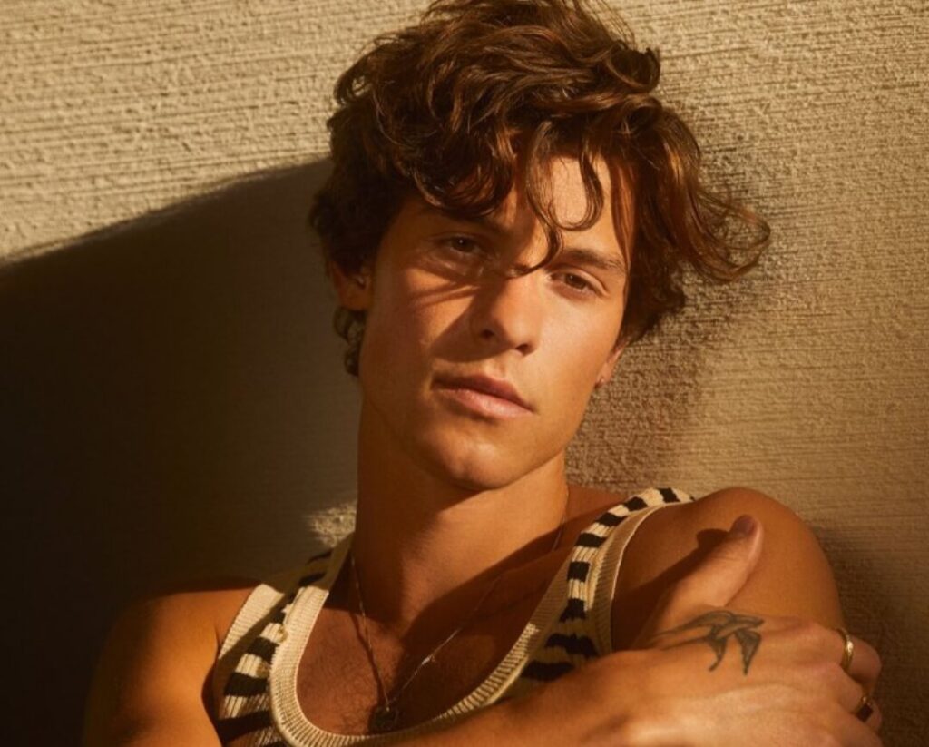 Shawn Mendes reveals his method to get out of a bad stage in his life