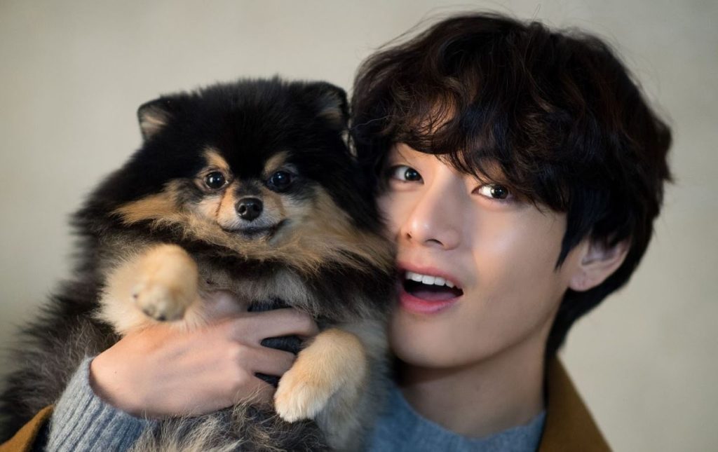 Yeontan of BTS' V achieves worldwide impressive record for a pet