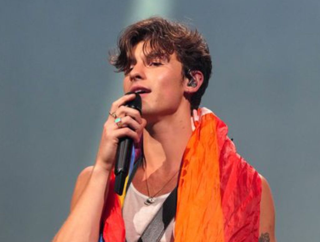 Shawn Mendes postpones tour shows indefinitely 'I hit a breaking point'