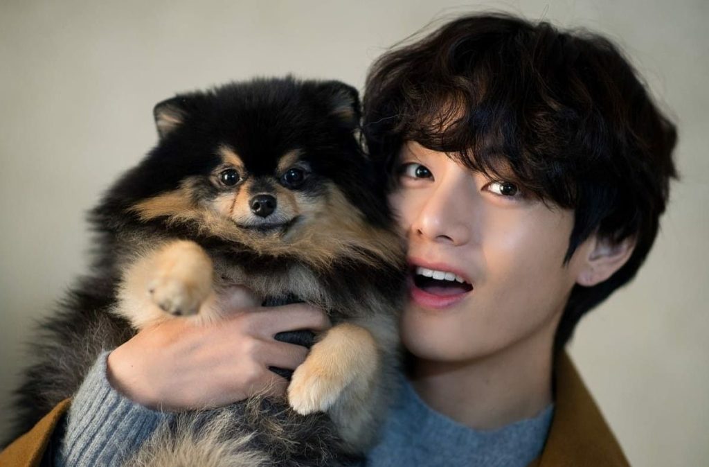 Everything you need to know about the birthday of Yeotan the dog son of BTS Taehyung