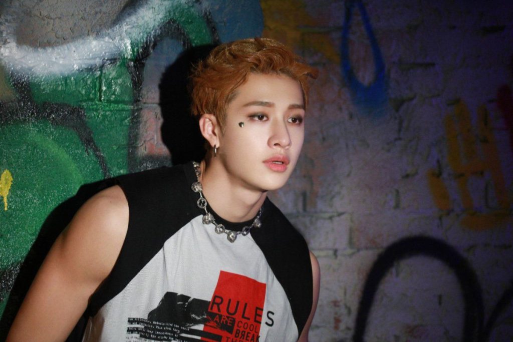Stray Kids' Bang Chan impresses by his actions after seeing a fan faint in the audience