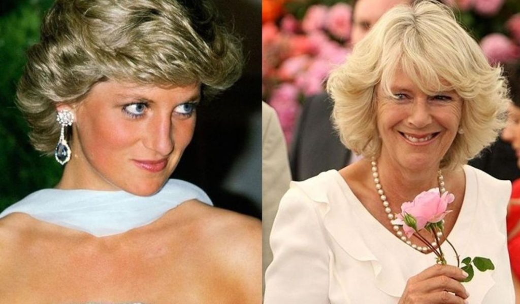 The rude nickname Lady Di used to refer to Camilla Parker, mistress of King Charles III