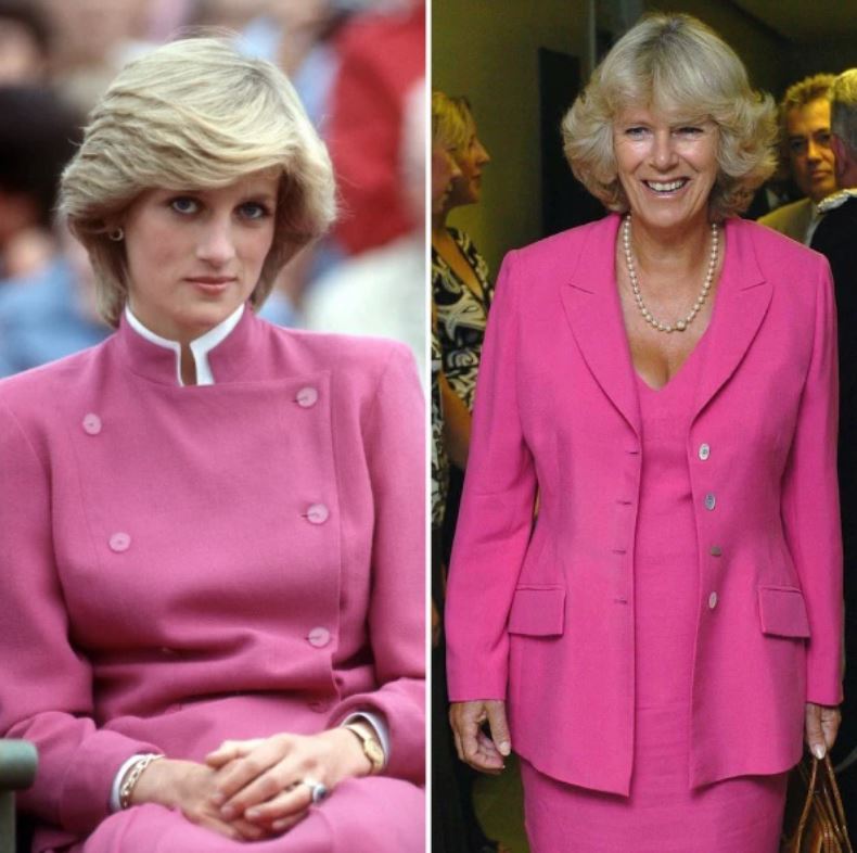 The rude nickname Lady Di used to refer to Camilla Parker, mistress of ...