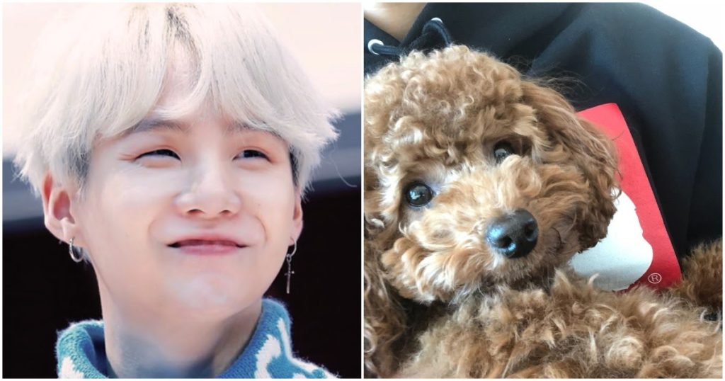 BTS's Suga apparently has a new pet and shares adorable pictures