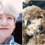 BTS's Suga apparently has a new pet and shares adorable pictures