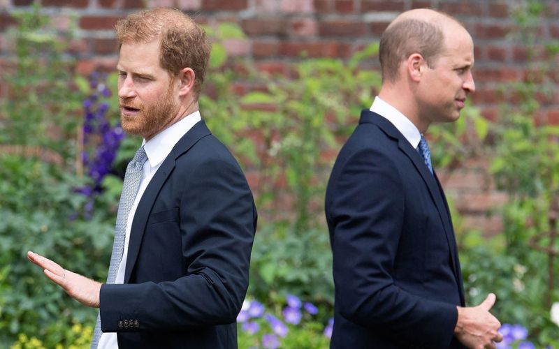 Prince Harry made terrible accusations against the Royal Family and Prince William