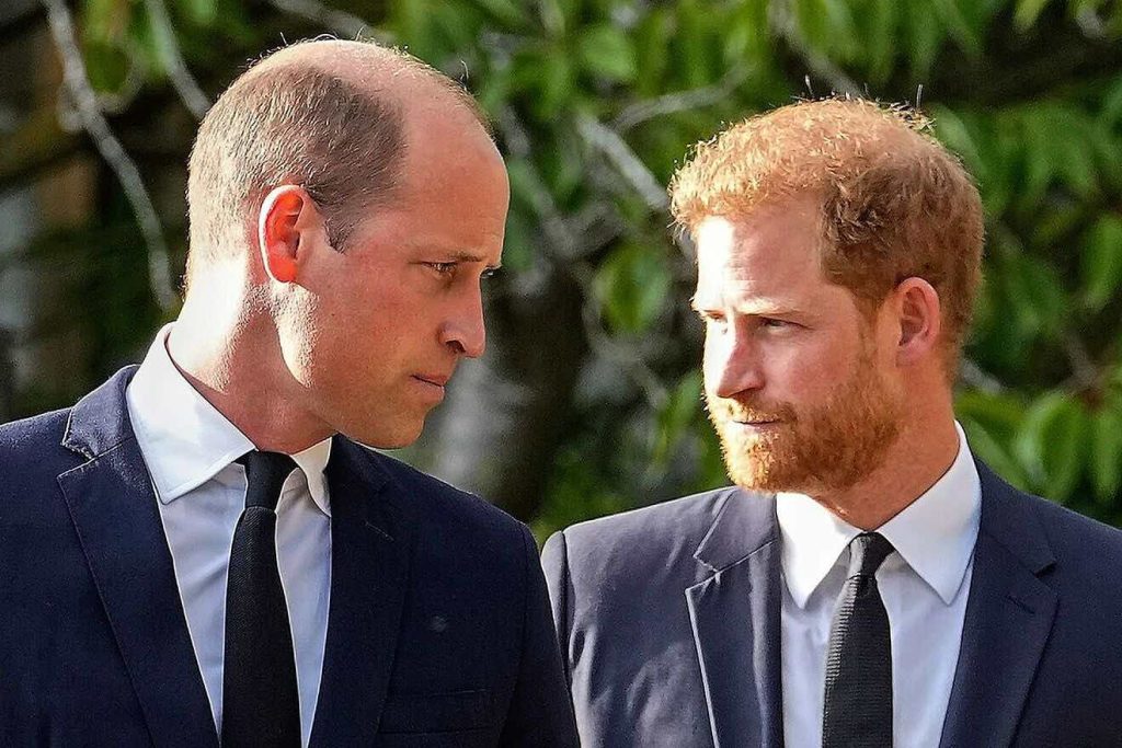 Prince Harry receives mysterious message from his brother William and shows discomfort