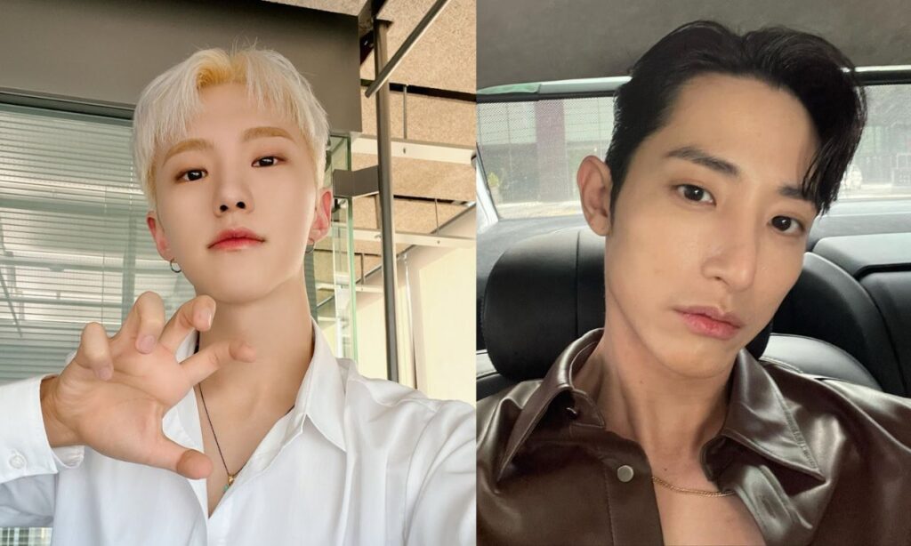 Hoshi of SEVENTEEN in dating rumors with actor Lee Soo Hyuk