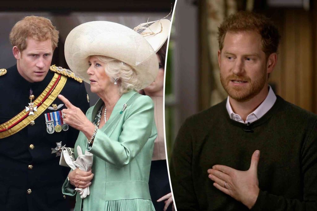 Prince Harry fears Camilla Parker and says she is dangerous