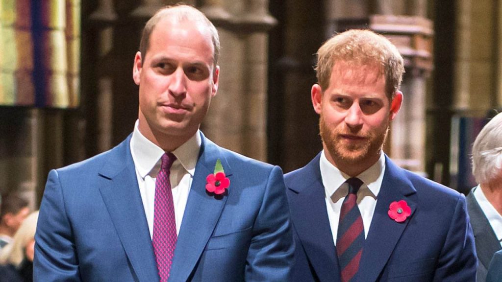 Prince Harry mocks his brother Prince William's hair loss