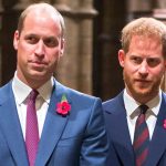 Prince Harry mocks his brother Prince William's hair loss
