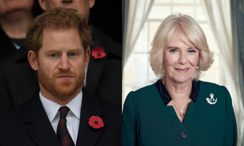 Prince Harry reveals how is his relationship with Camilla Parker shocking the world
