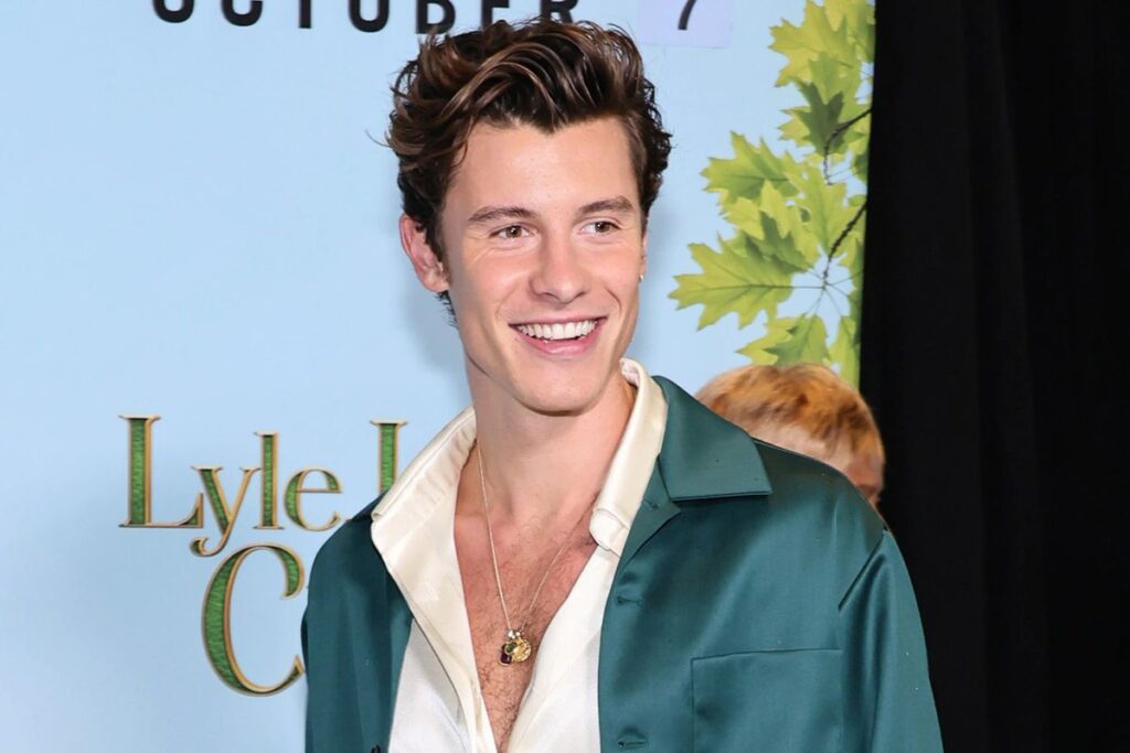Shawn Mendes is rumored to be hospitalized for an overdose