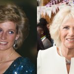 Shocking conversation Lady Di had with Camilla Parker before her death is leaked