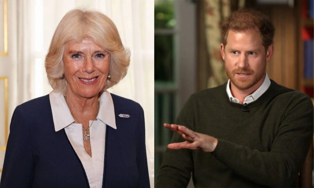 Camilla Parker is a threat to the royal family and Prince Harry confirms it