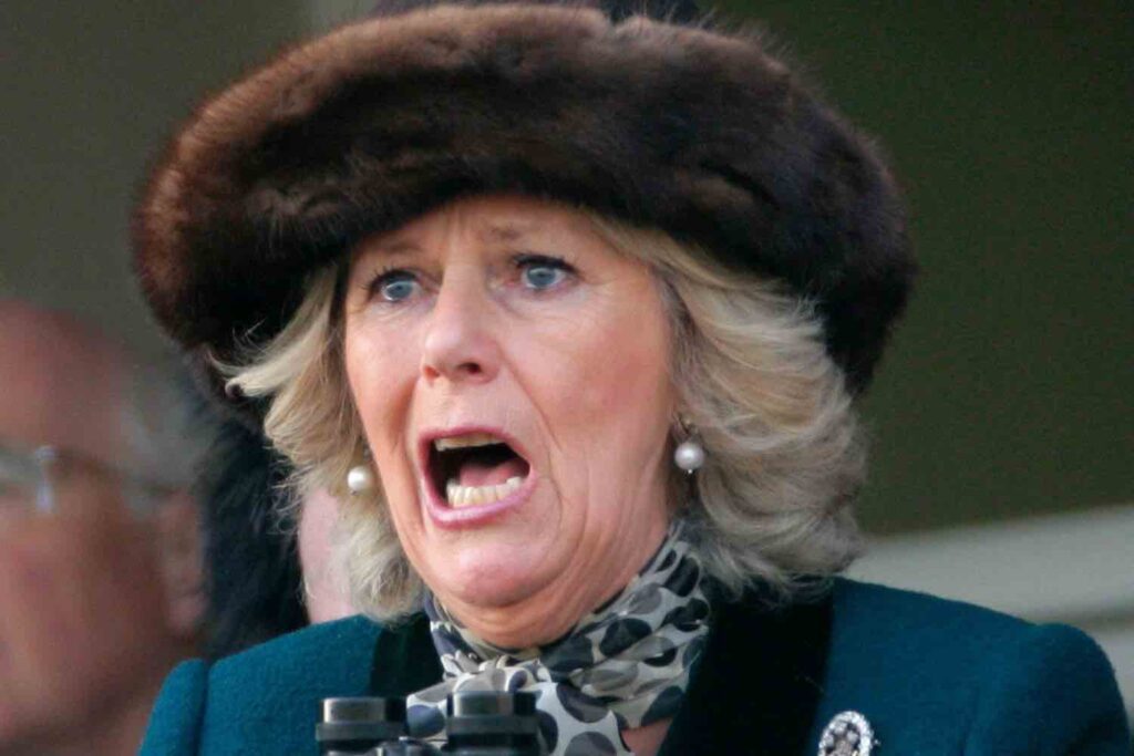 Camilla Parker's disrespectful way of controlling King Charles III