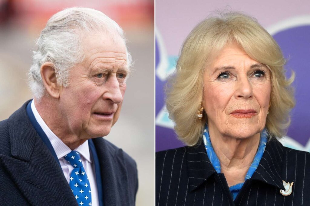 King Charles III may cancel coronation due to criticism