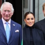 King Charles III to decide the future of Prince Harry and his wife