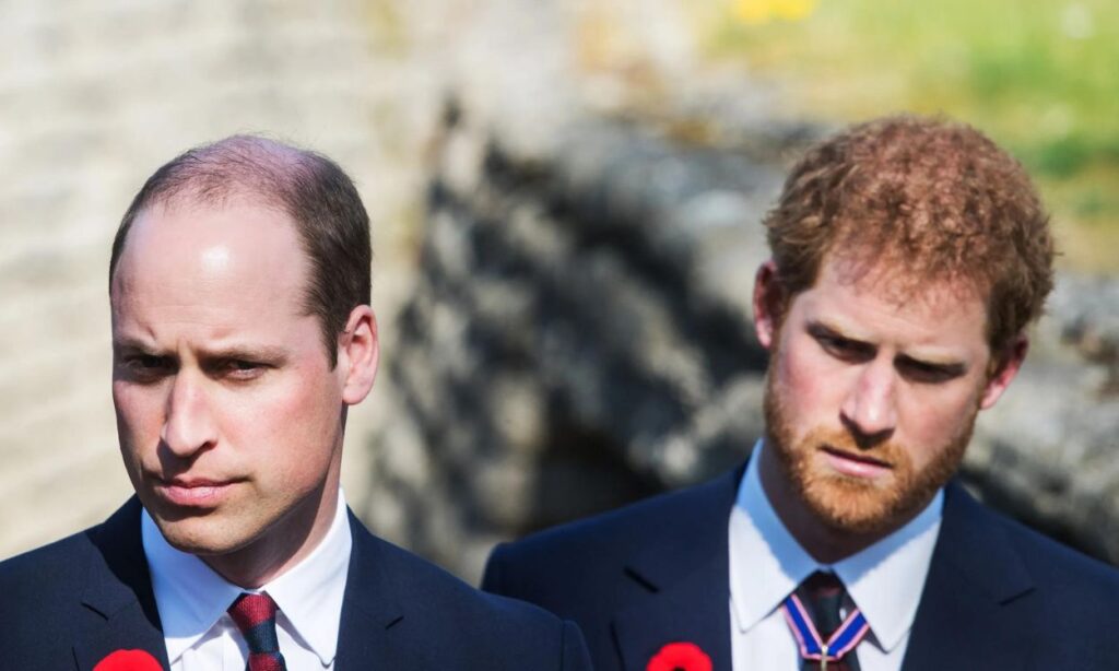 Prince William sends to the United States a message for Prince Harry