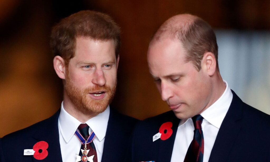 Photos of Prince Harry and Prince William's bitter fight recreated by an artist