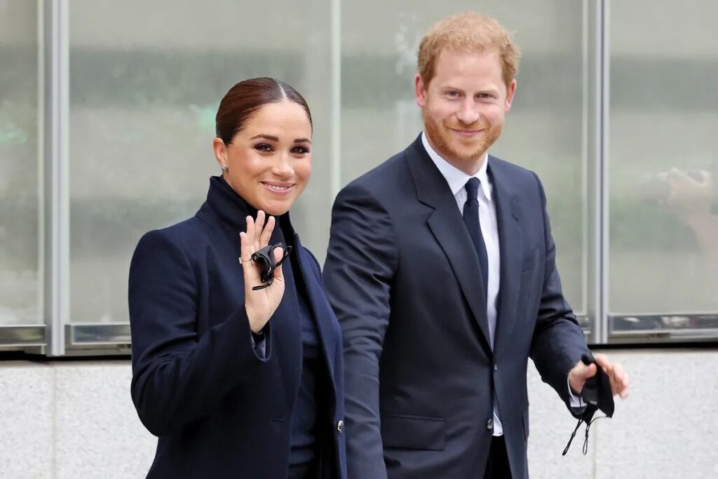 Prince Harry and Meghan Markle are suffering fallout over controversial statements