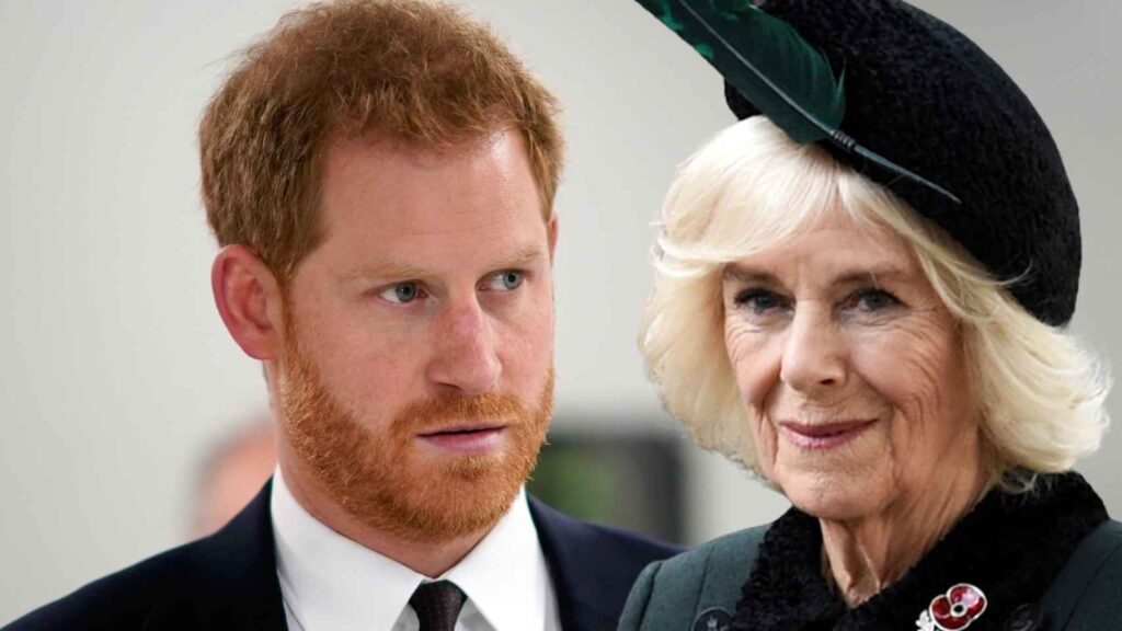 Prince Harry disagrees with Camilla Parker's coronation