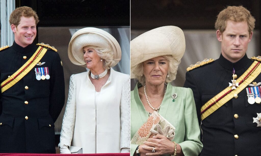 Prince Harry says Camilla Parker is to blame for Lady Diana's death