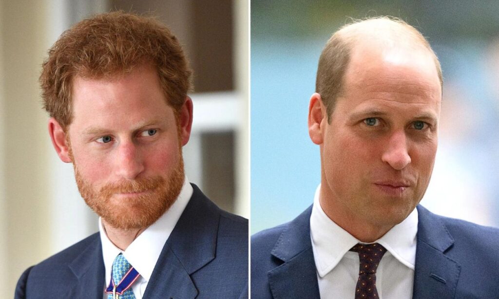 Prince Harry unintentionally exposes Prince William as a liar