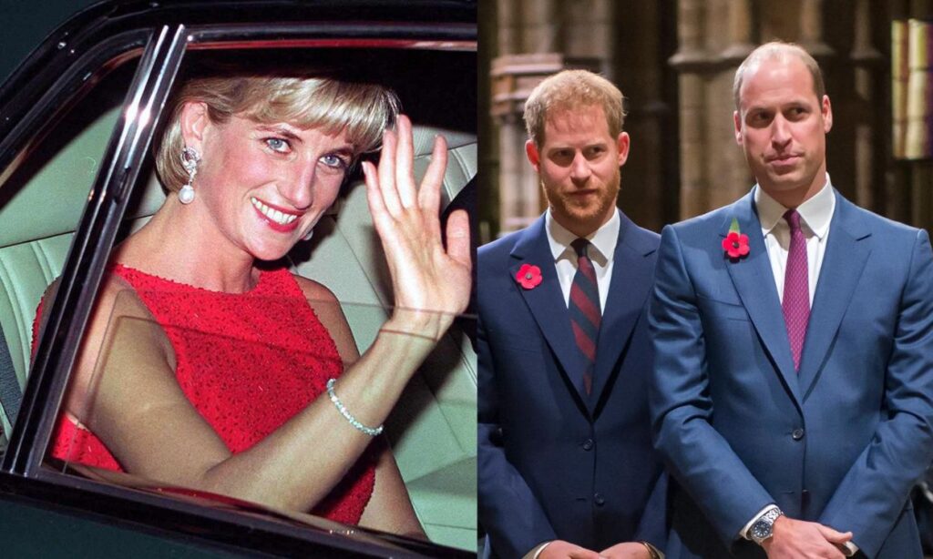 The tragic last phone call of Lady Di with Prince Harry and Prince William