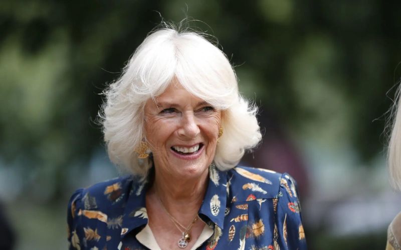 Camilla Parker filed for divorce on her anniversary with King Charles III