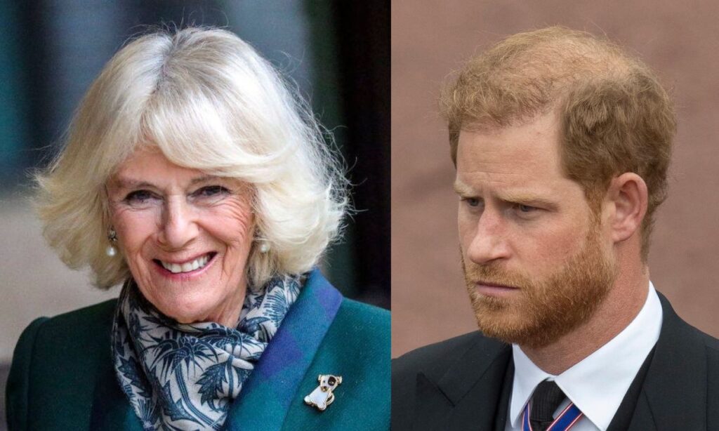 Camilla Parker furious to find out Prince Harry is back at Frogmore Cottage