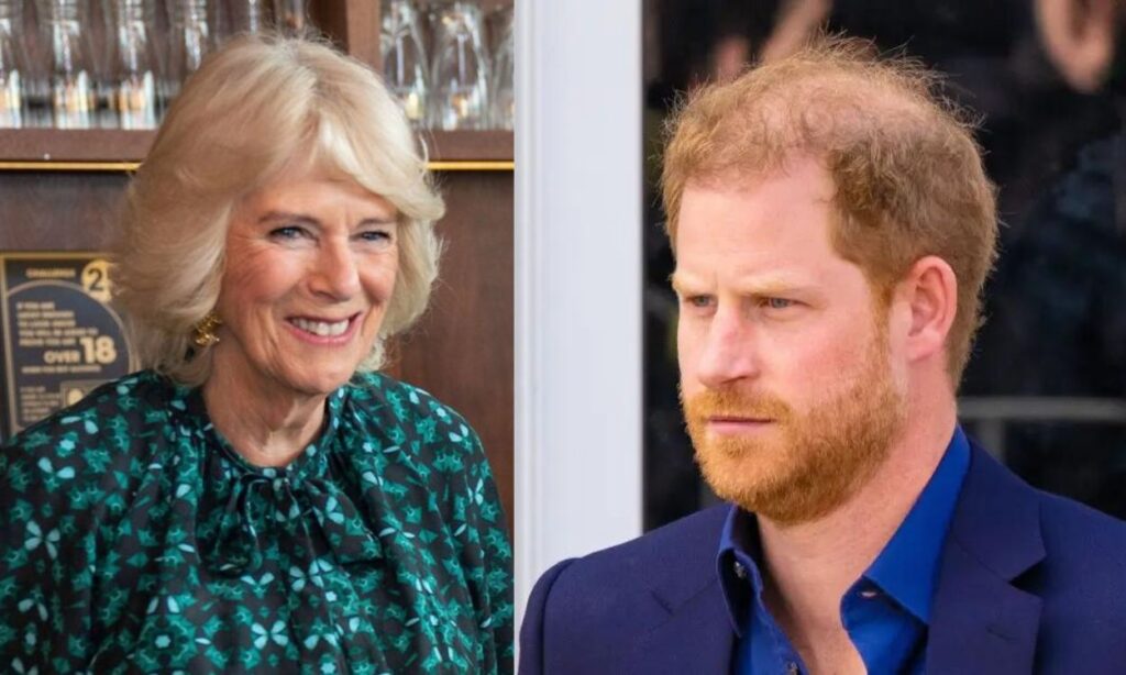 Camilla Parker has officially replaced Prince Harry's children of the coronation