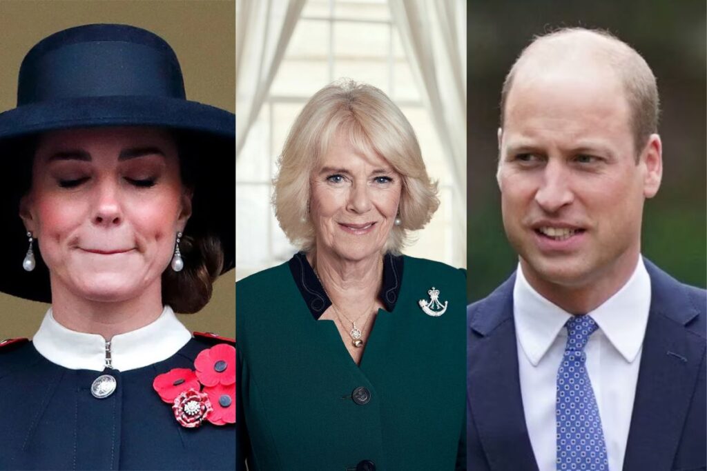 Camilla Parker leaked Prince William's infidelity for this unbelievable reason