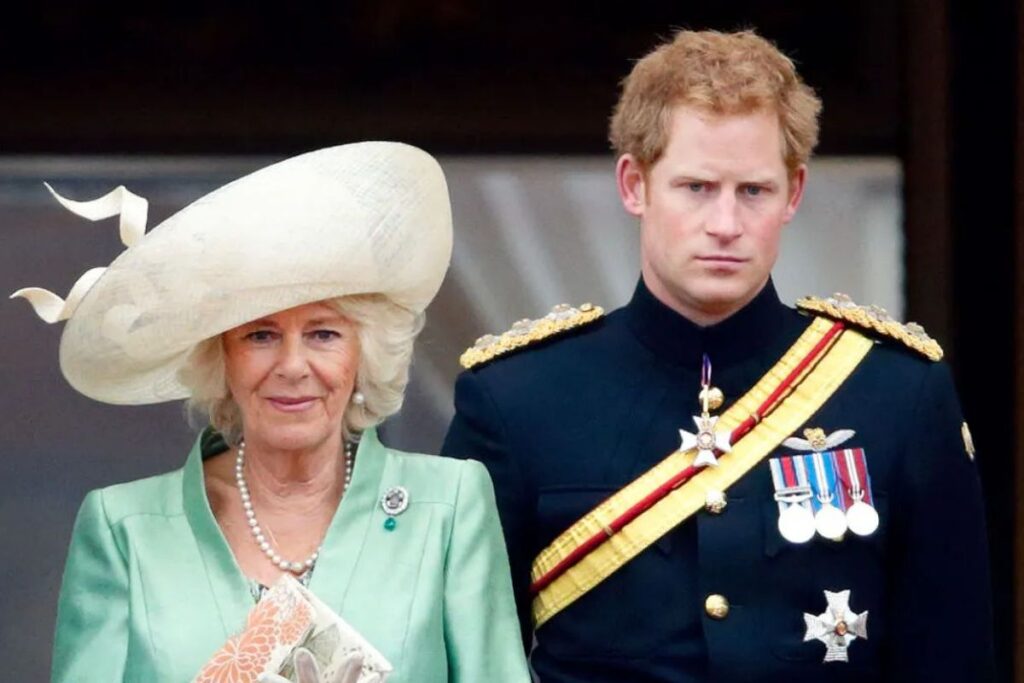 Camilla Parker would perform this deplorable act to eliminate Prince Harry from her coronation