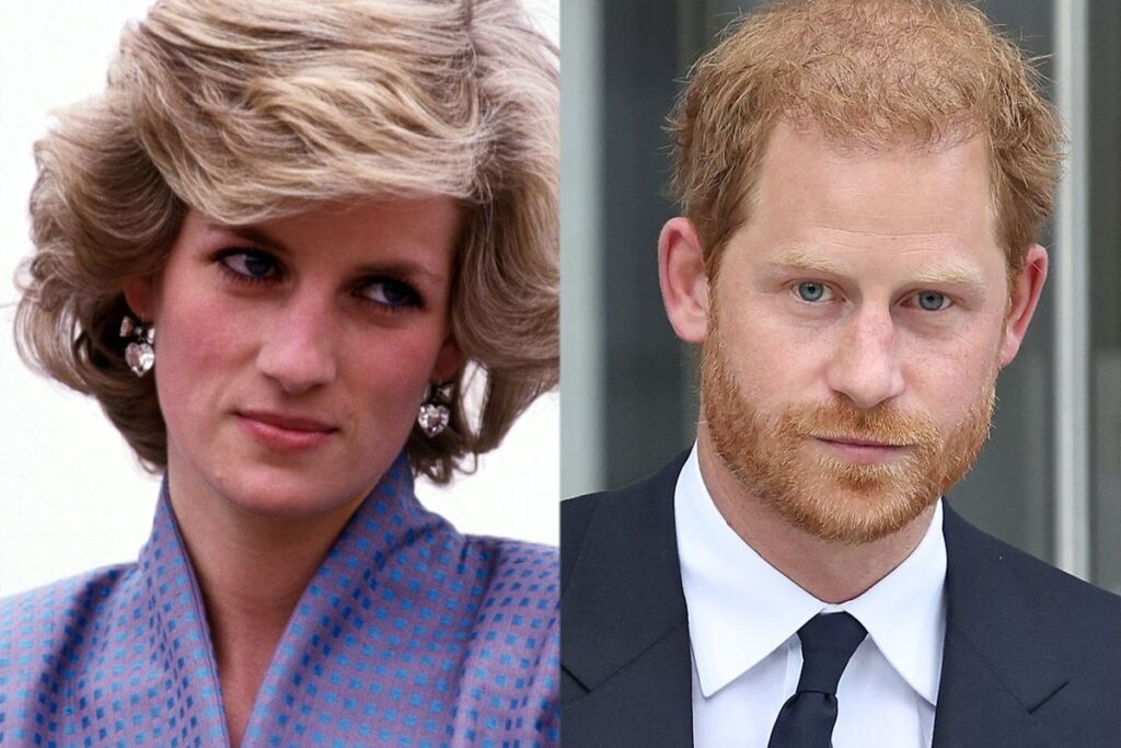 Princess Diana's fomer butler attacks Prince Harry